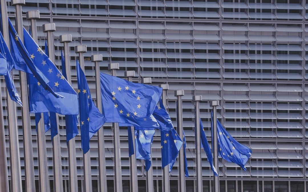 Zasada DNSH w projektach FE 2021-2027 i KPO – praktyczne stosowanie, dokumentowanie i kontrola
